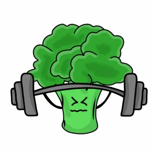 Muscle Gain Plan